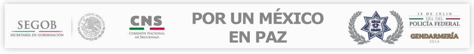 www.cns.gob.mx